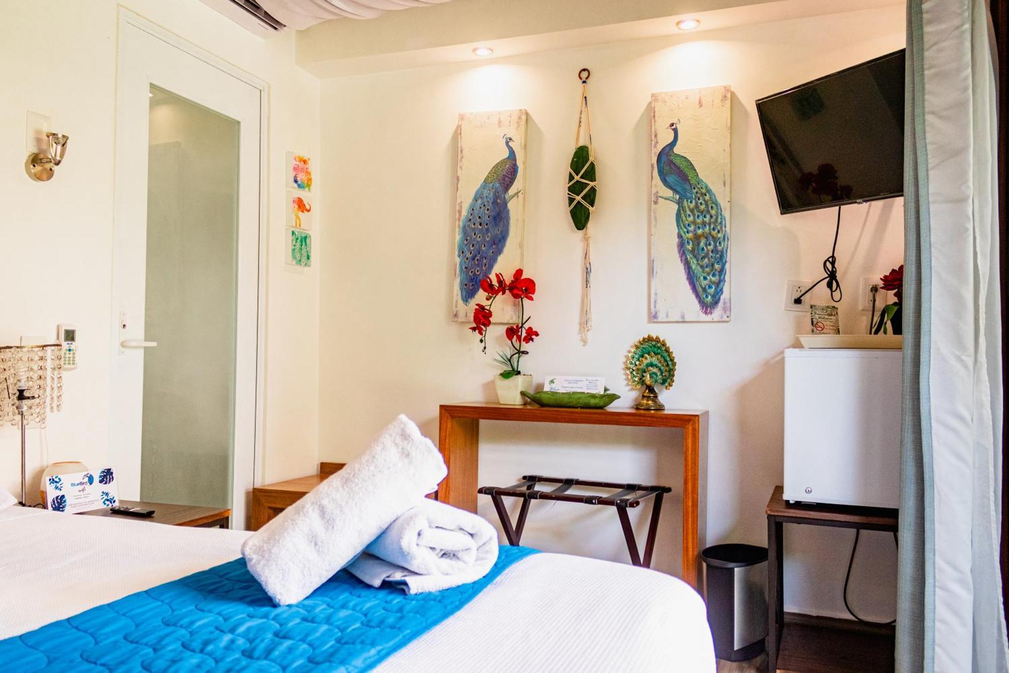 Blue Bird Bacalar Quarto foto