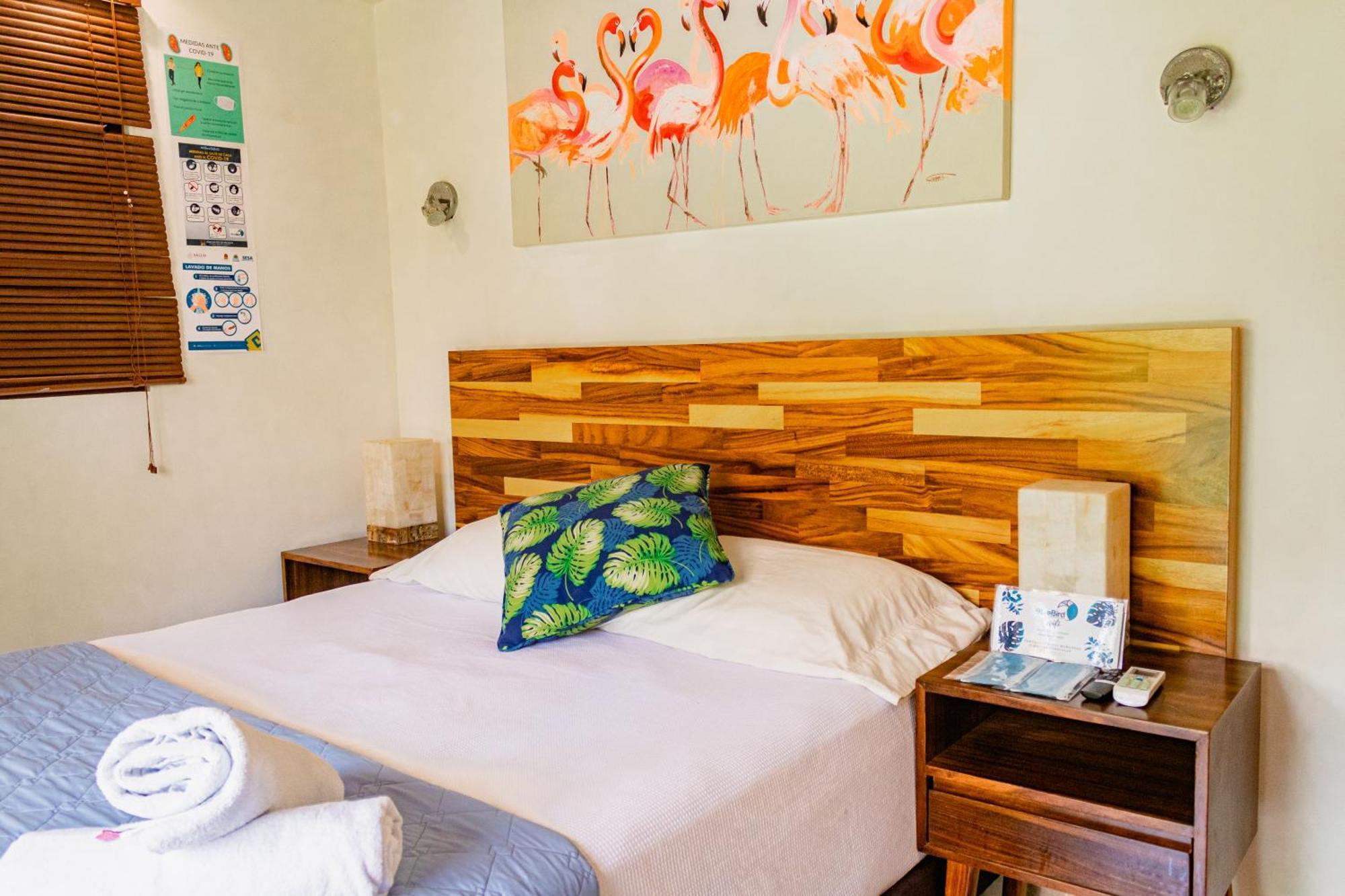 Blue Bird Bacalar Quarto foto